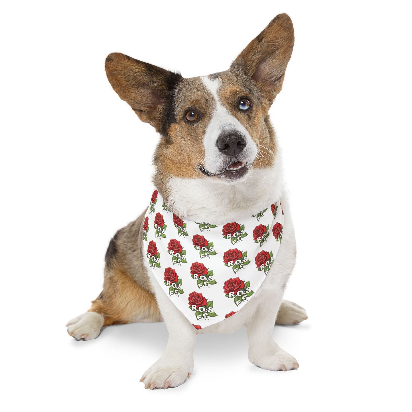 Roses Red Pet Bandana