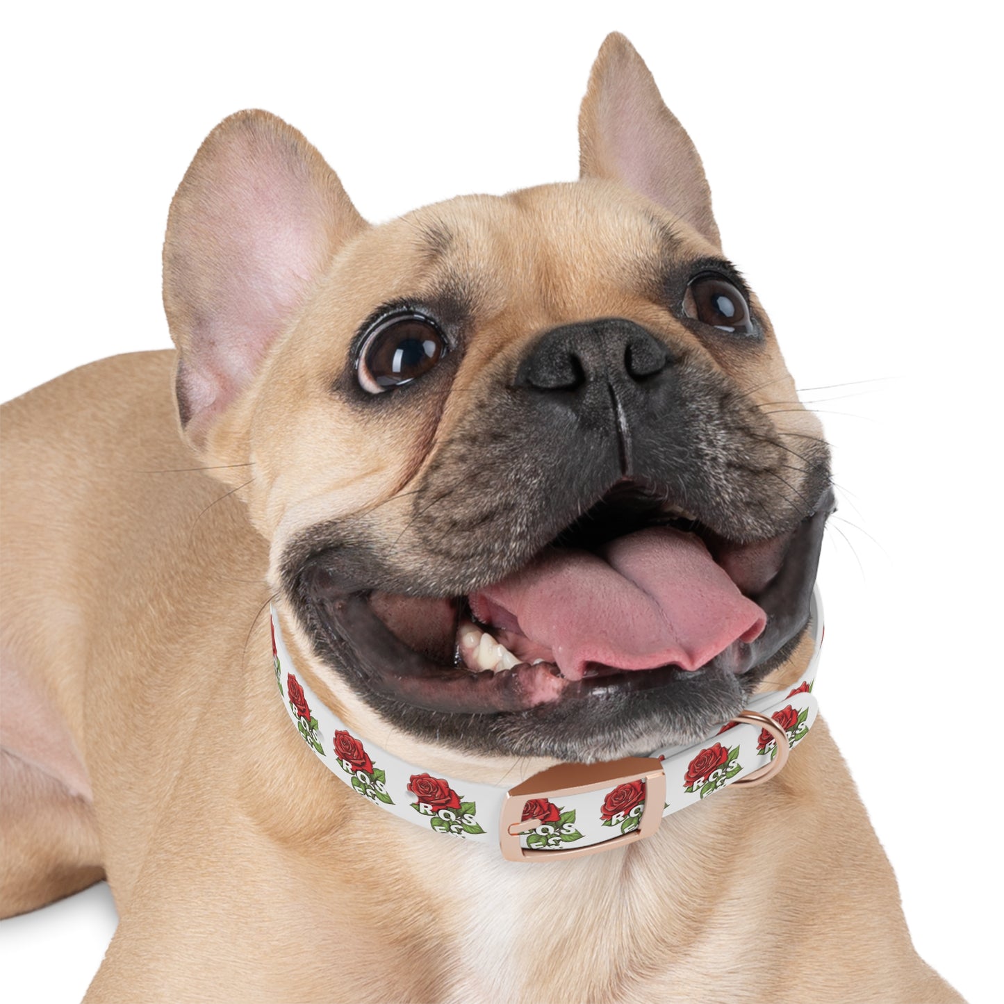 Roses Red Dog Collar