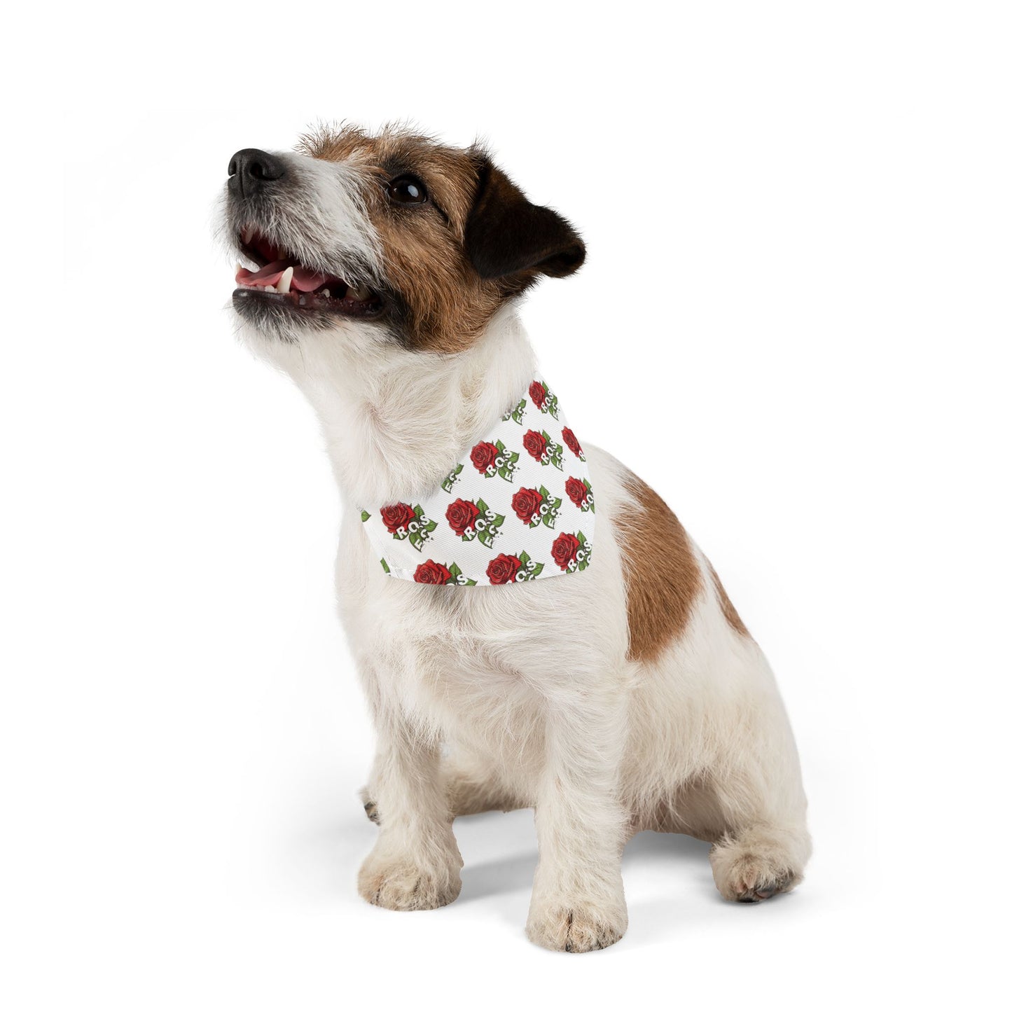 Roses Red Pet Bandana