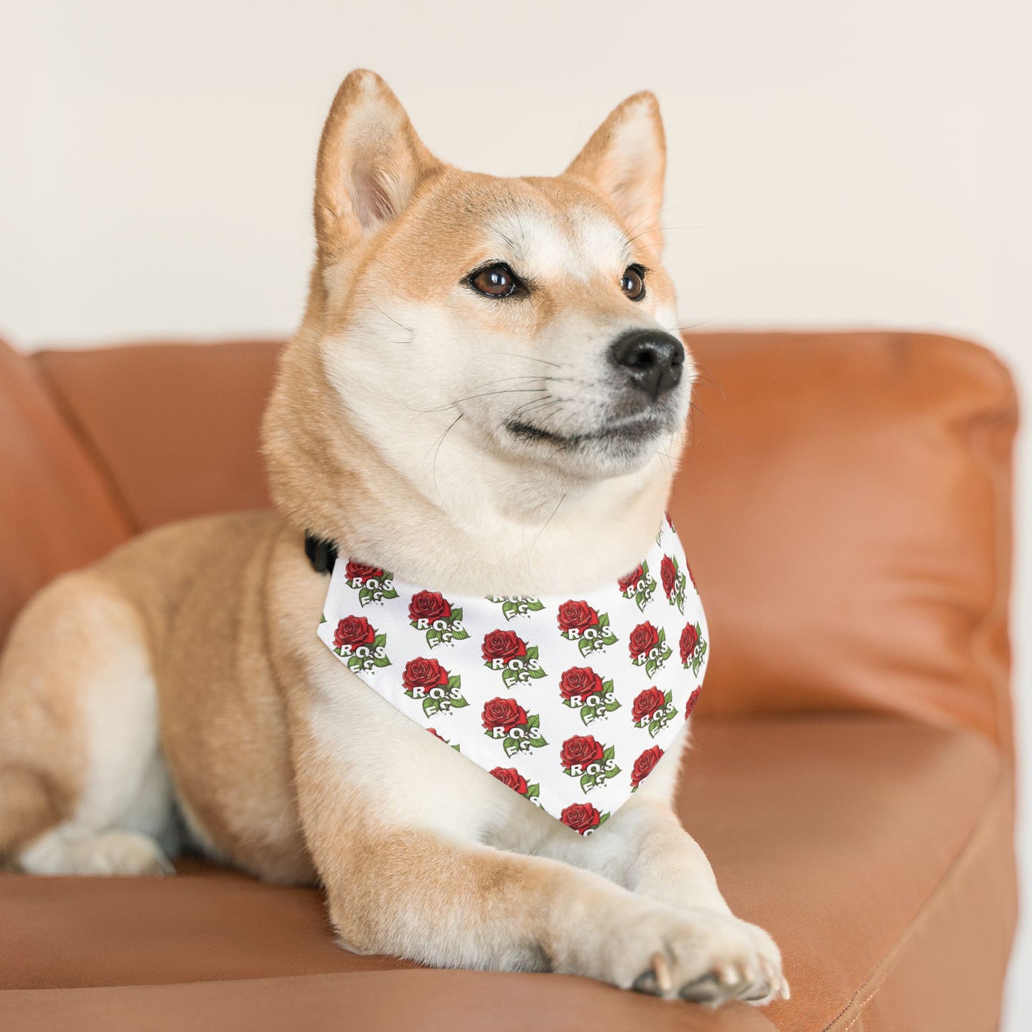 Roses Red Pet Bandana