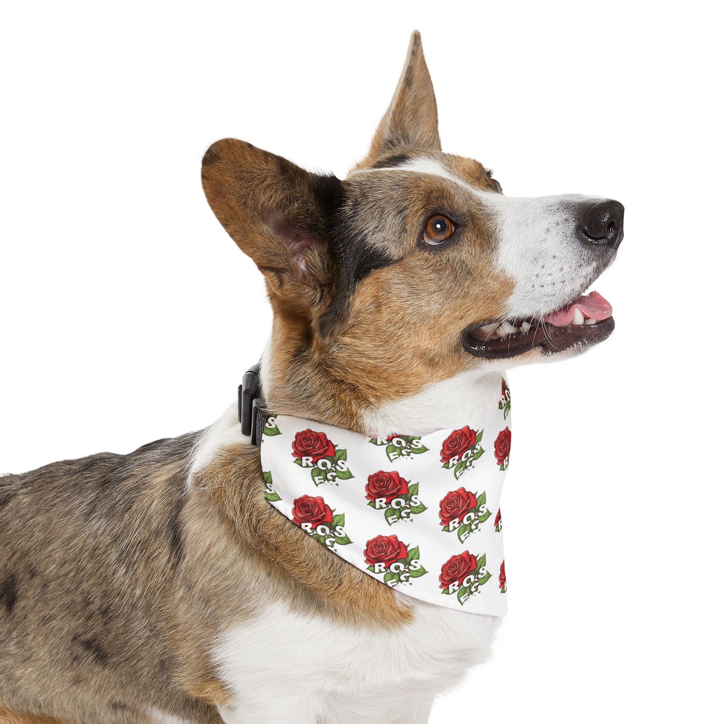 Roses Red Pet Bandana