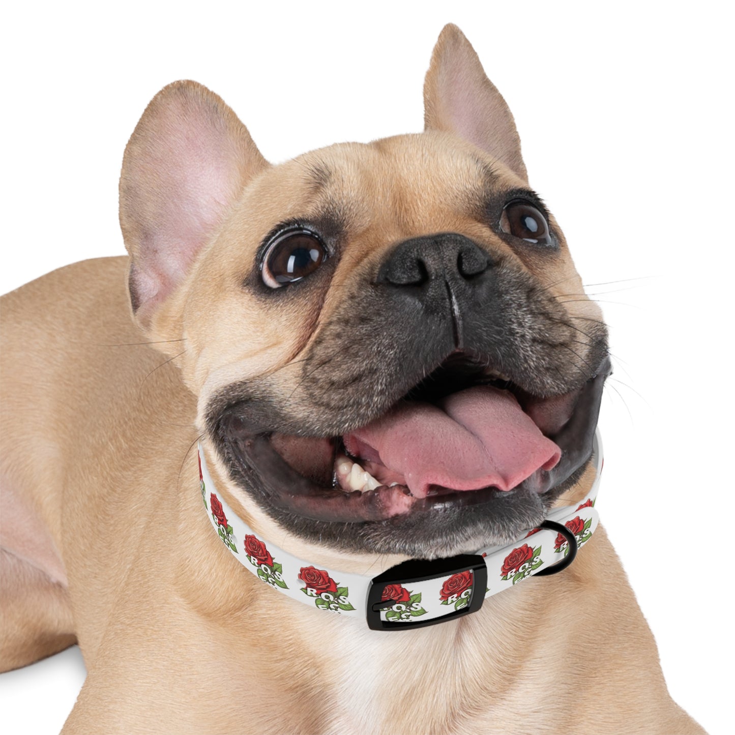 Roses Red Dog Collar